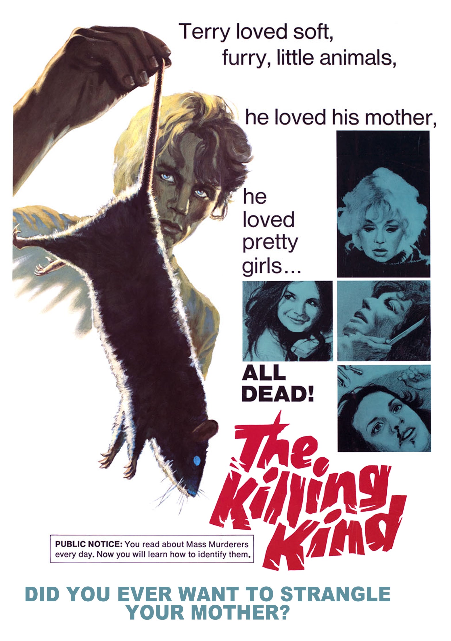 THE KILLING KIND DVD