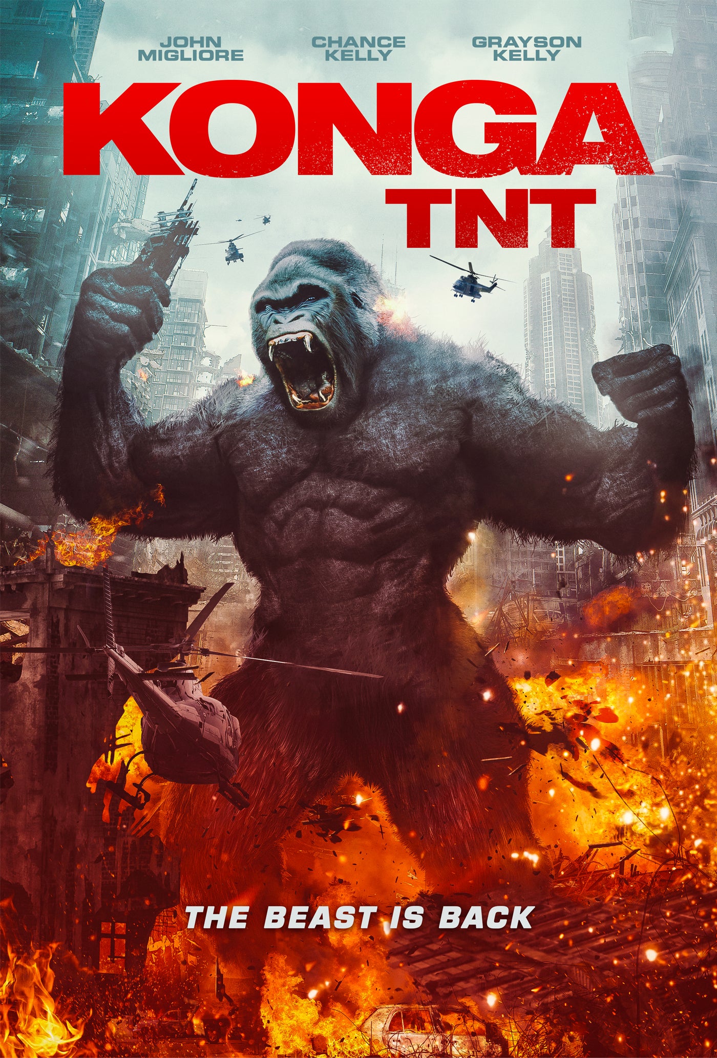 KONGA TNT DVD