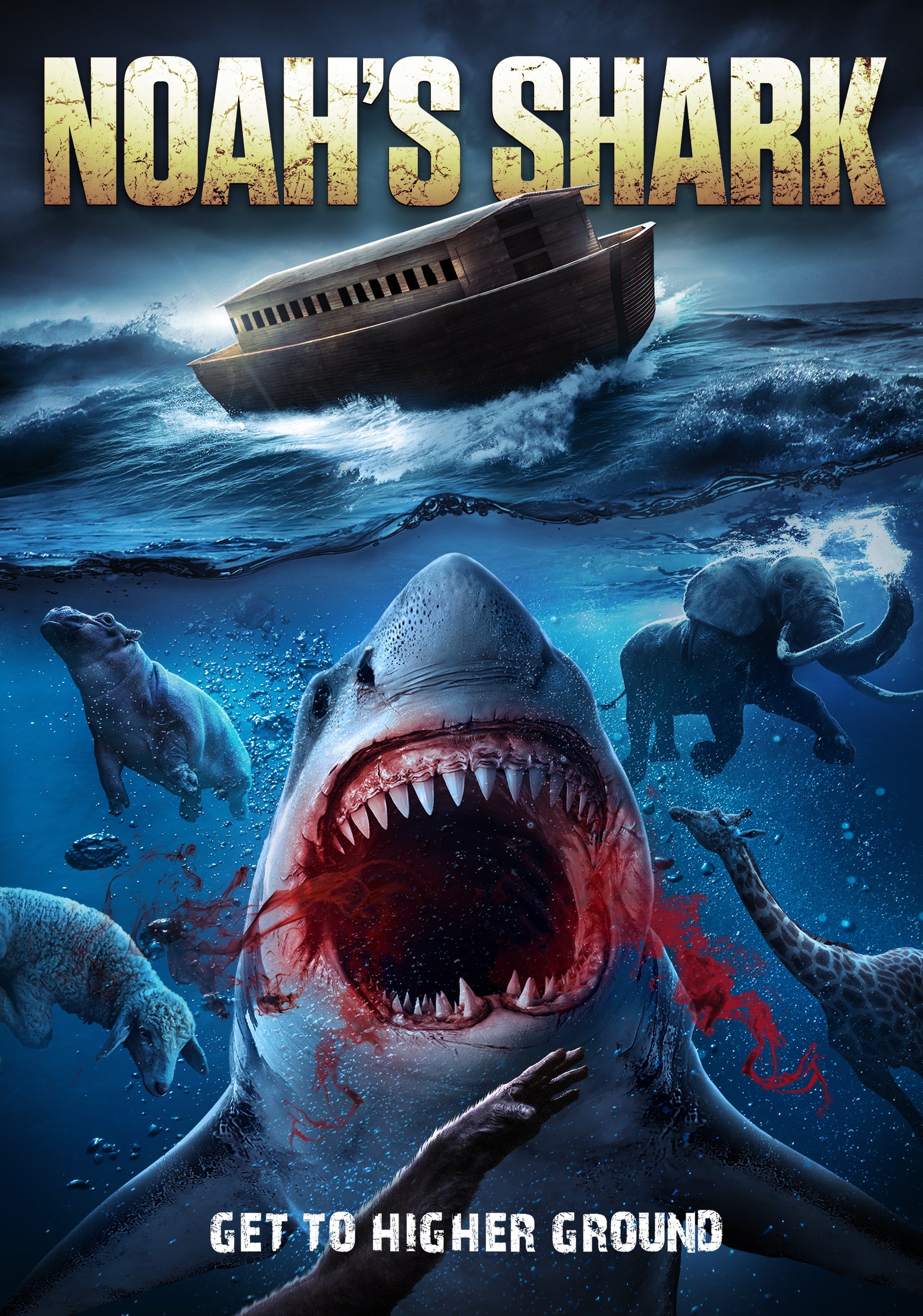 NOAH'S SHARK DVD
