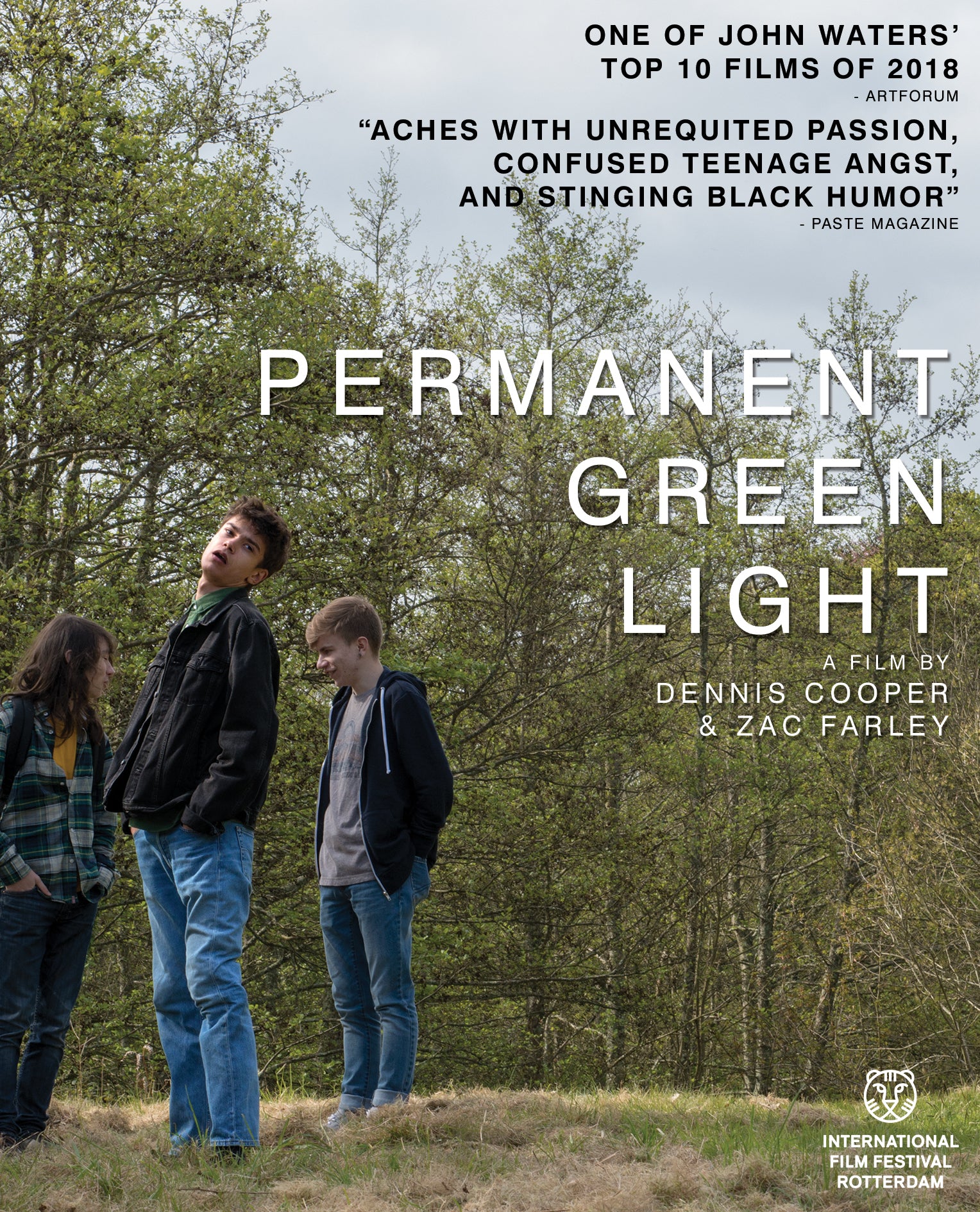PERMANENT GREEN LIGHT BLU-RAY