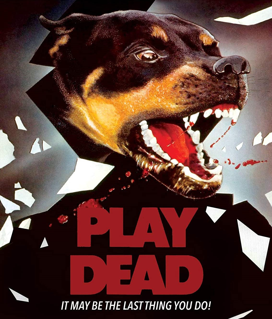 Play Dead Blu-Ray/dvd Blu-Ray