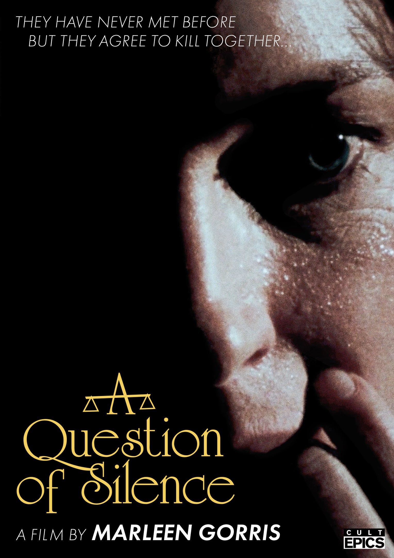 A QUESTION OF SILENCE DVD
