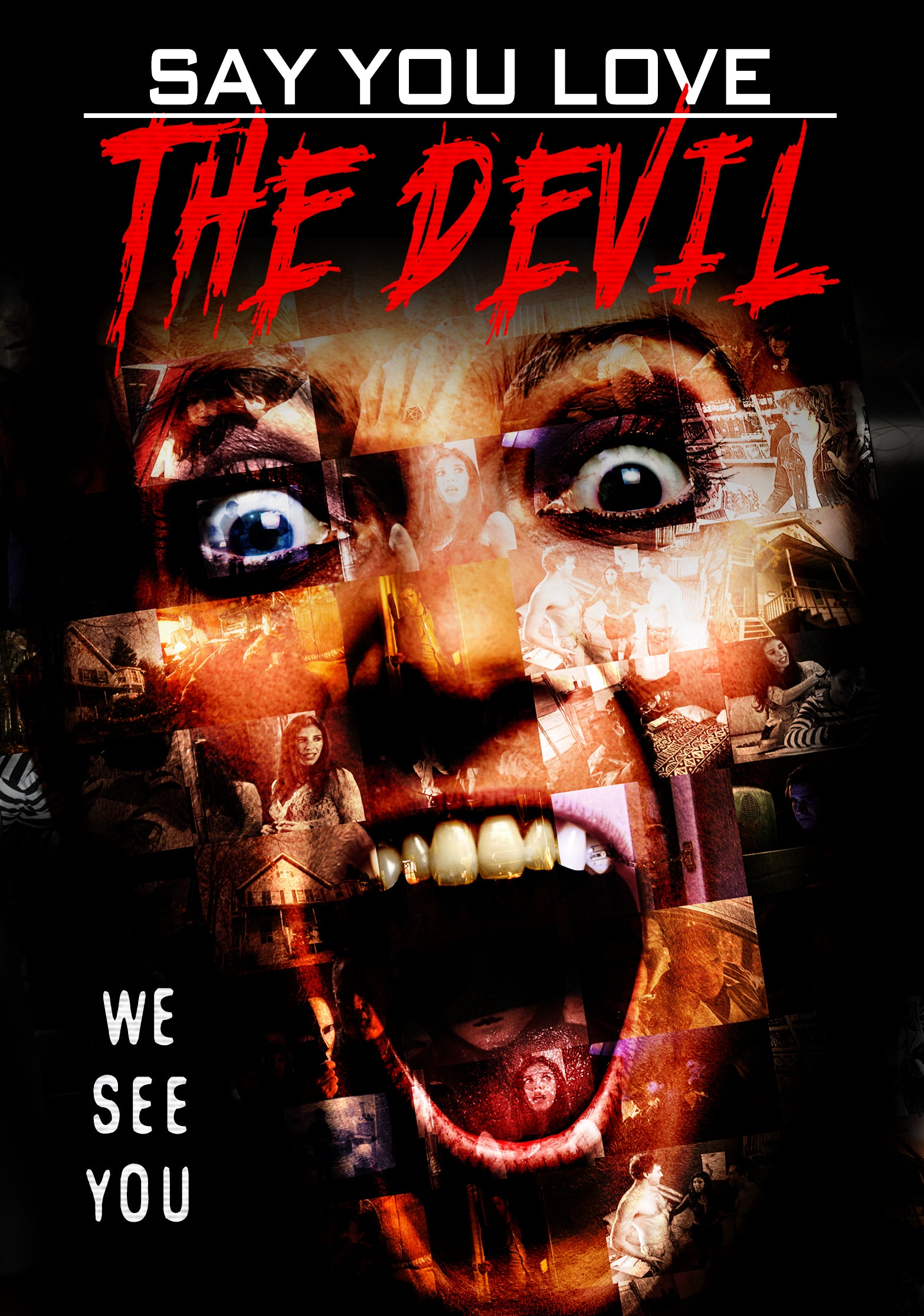 SAY YOU LOVE THE DEVIL DVD
