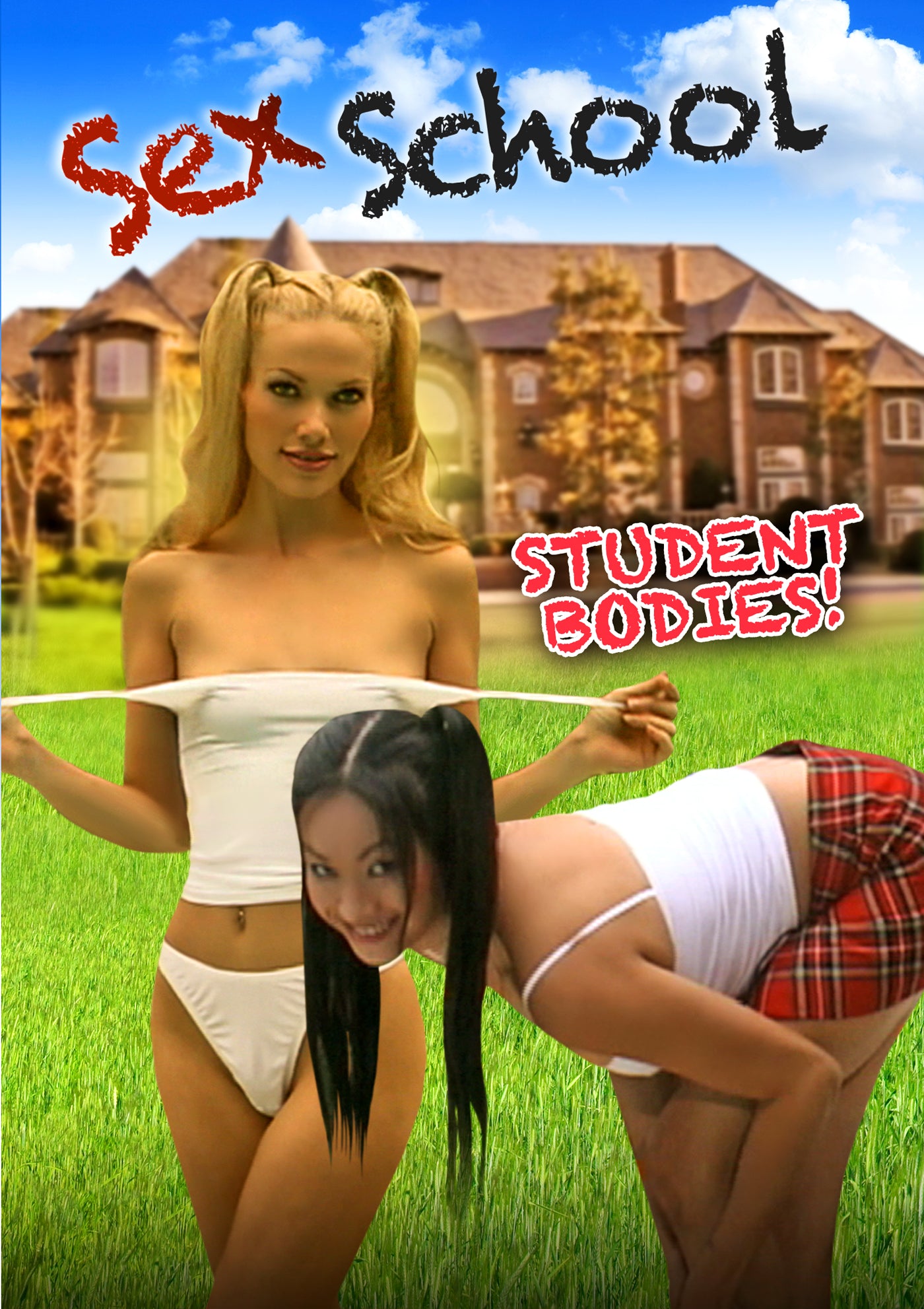 SEX SCHOOL: STUDENT BODIES DVD