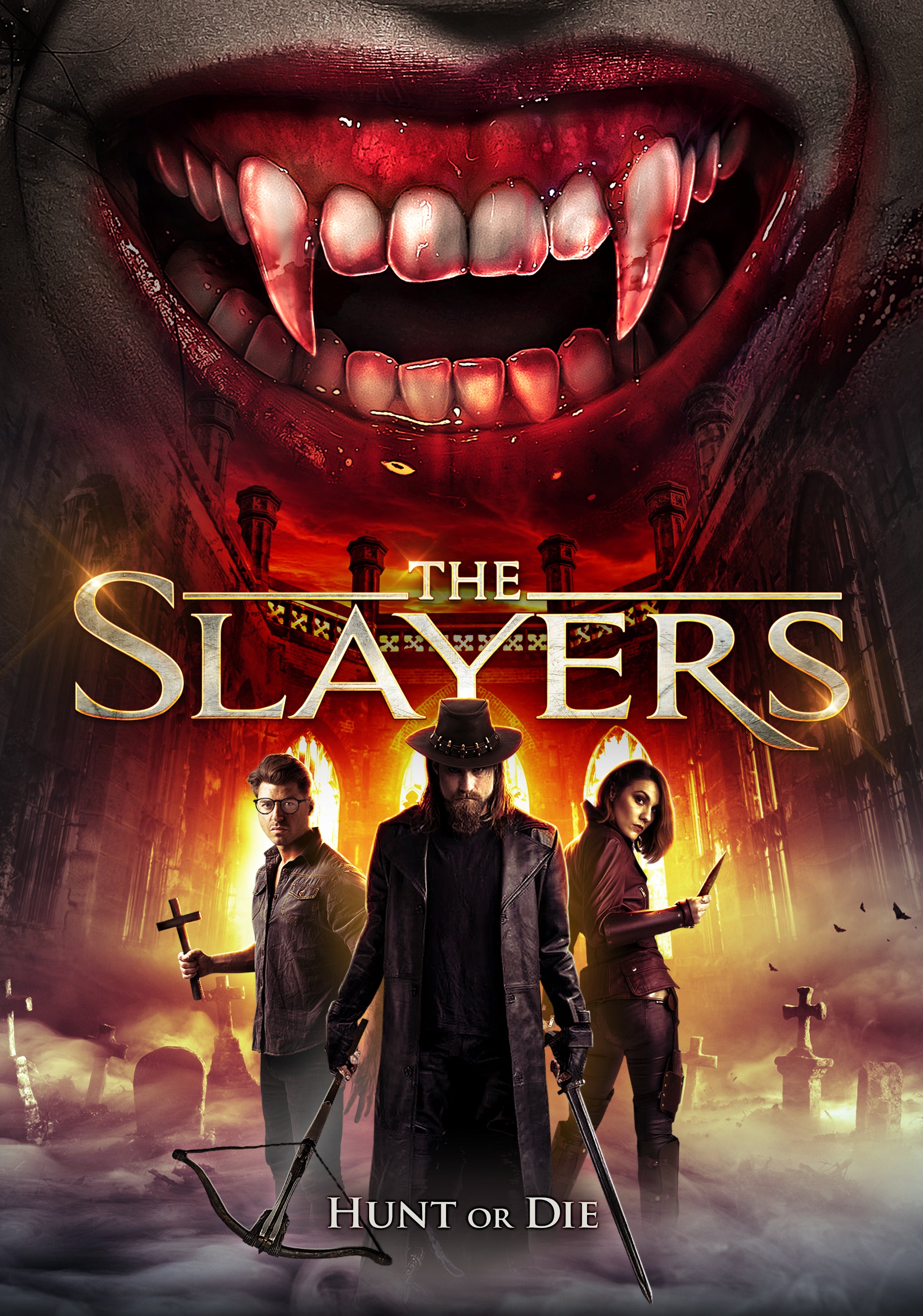 THE SLAYERS DVD
