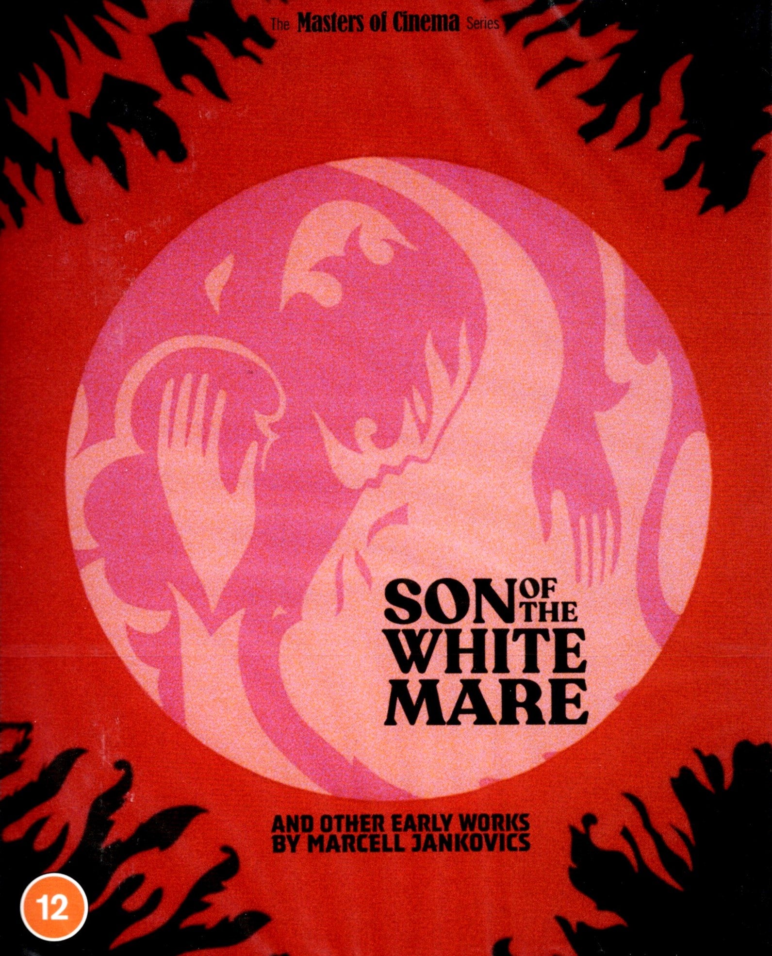 SON OF THE WHITE MARE (REGION B IMPORT - LIMITED EDITION) BLU-RAY