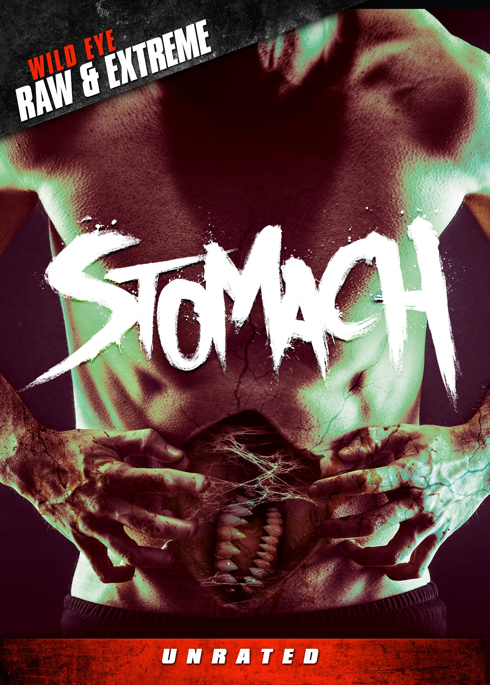 STOMACH DVD