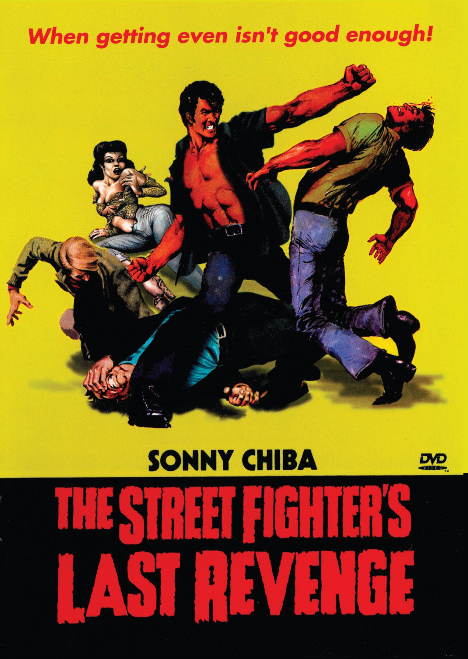 THE STREET FIGHTER'S LAST REVENGE DVD