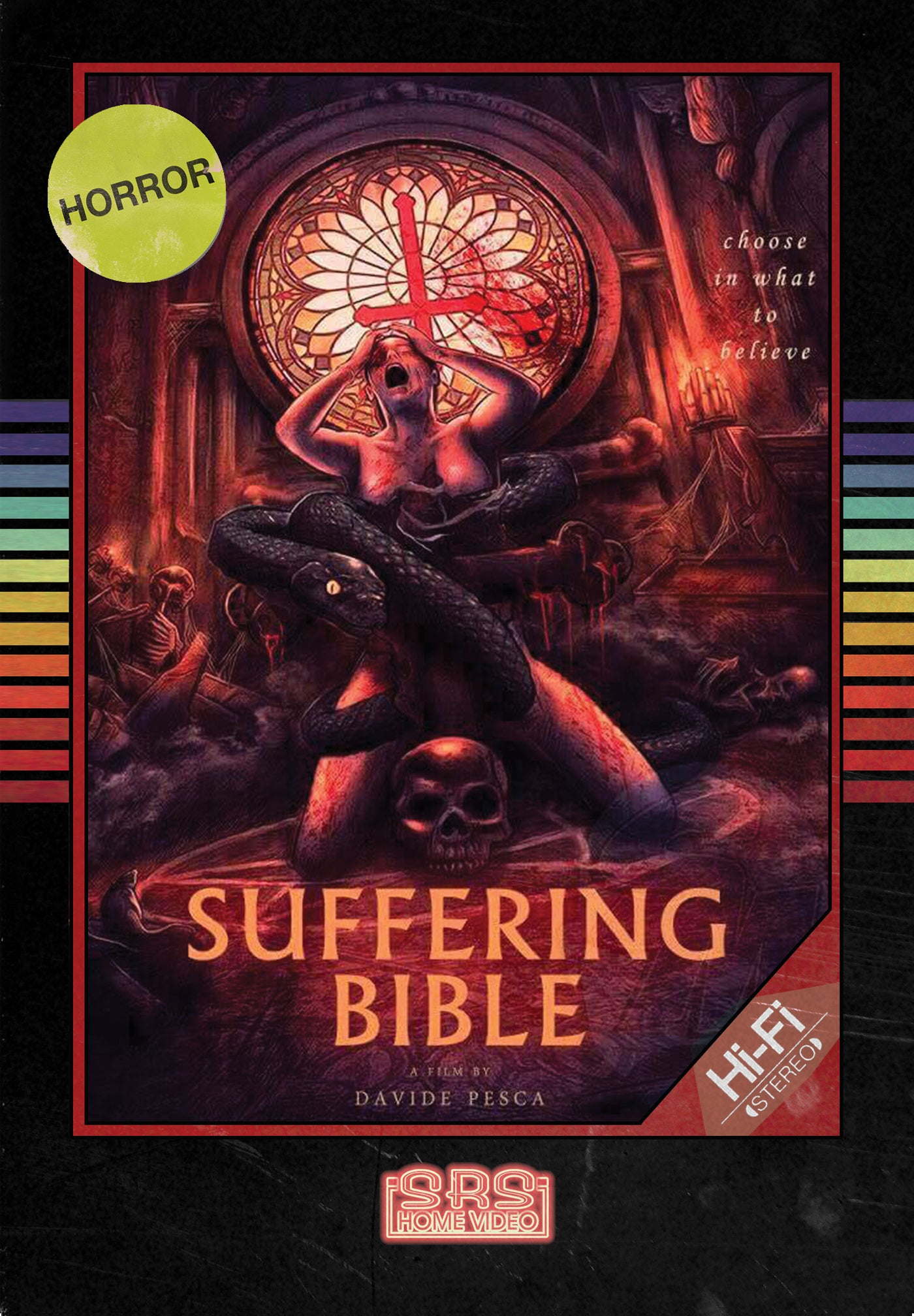 SUFFERING BIBLE DVD