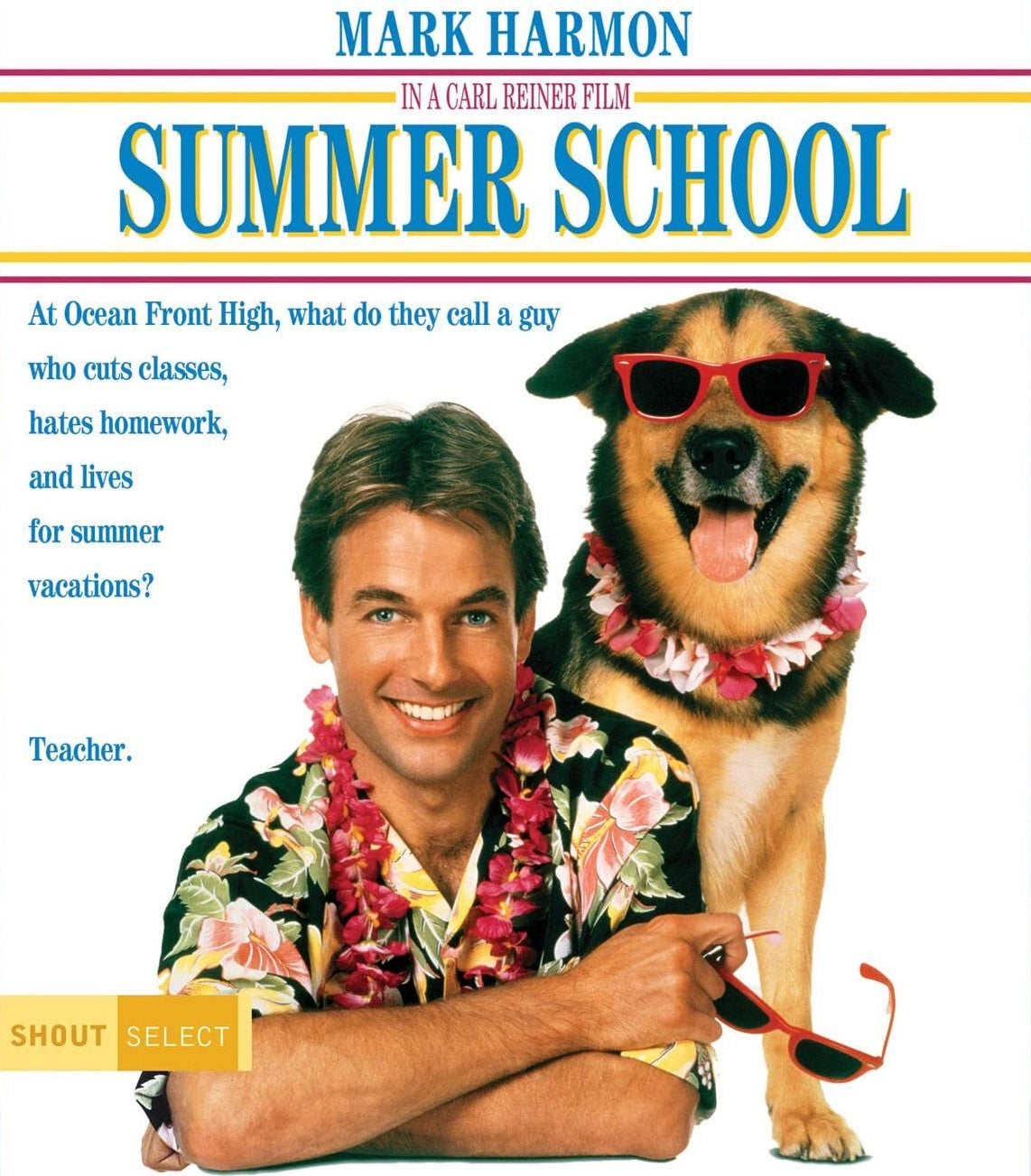Summer School Blu-Ray Blu-Ray