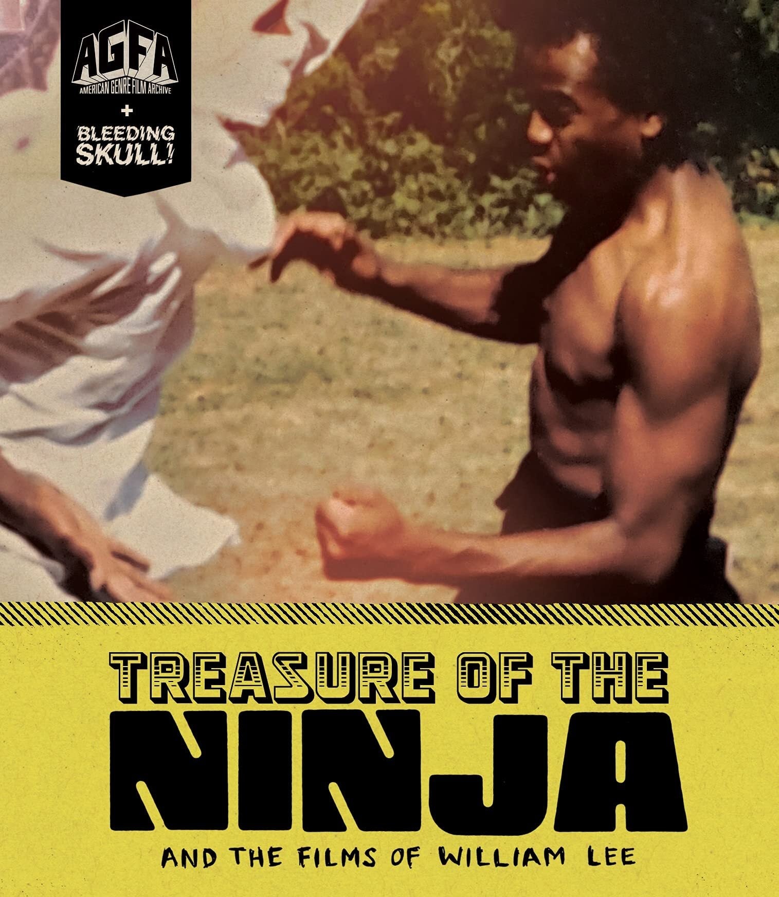 Treasure Of The Ninja And Films William Lee Blu-Ray Blu-Ray
