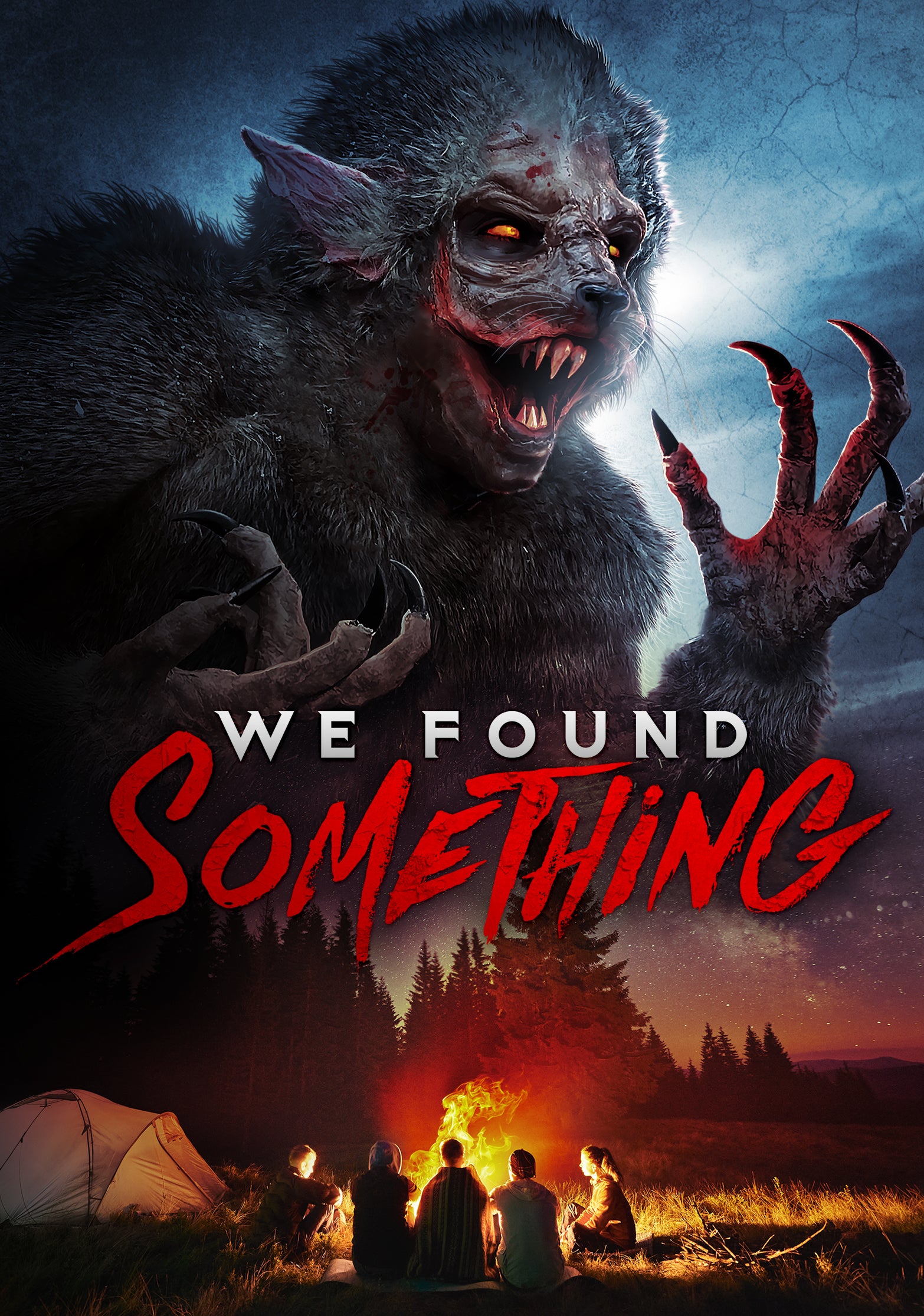 WE FOUND SOMETHING DVD