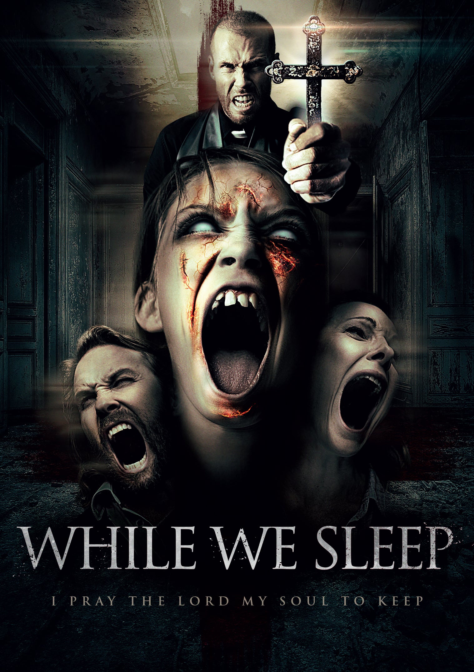 WHILE WE SLEEP DVD