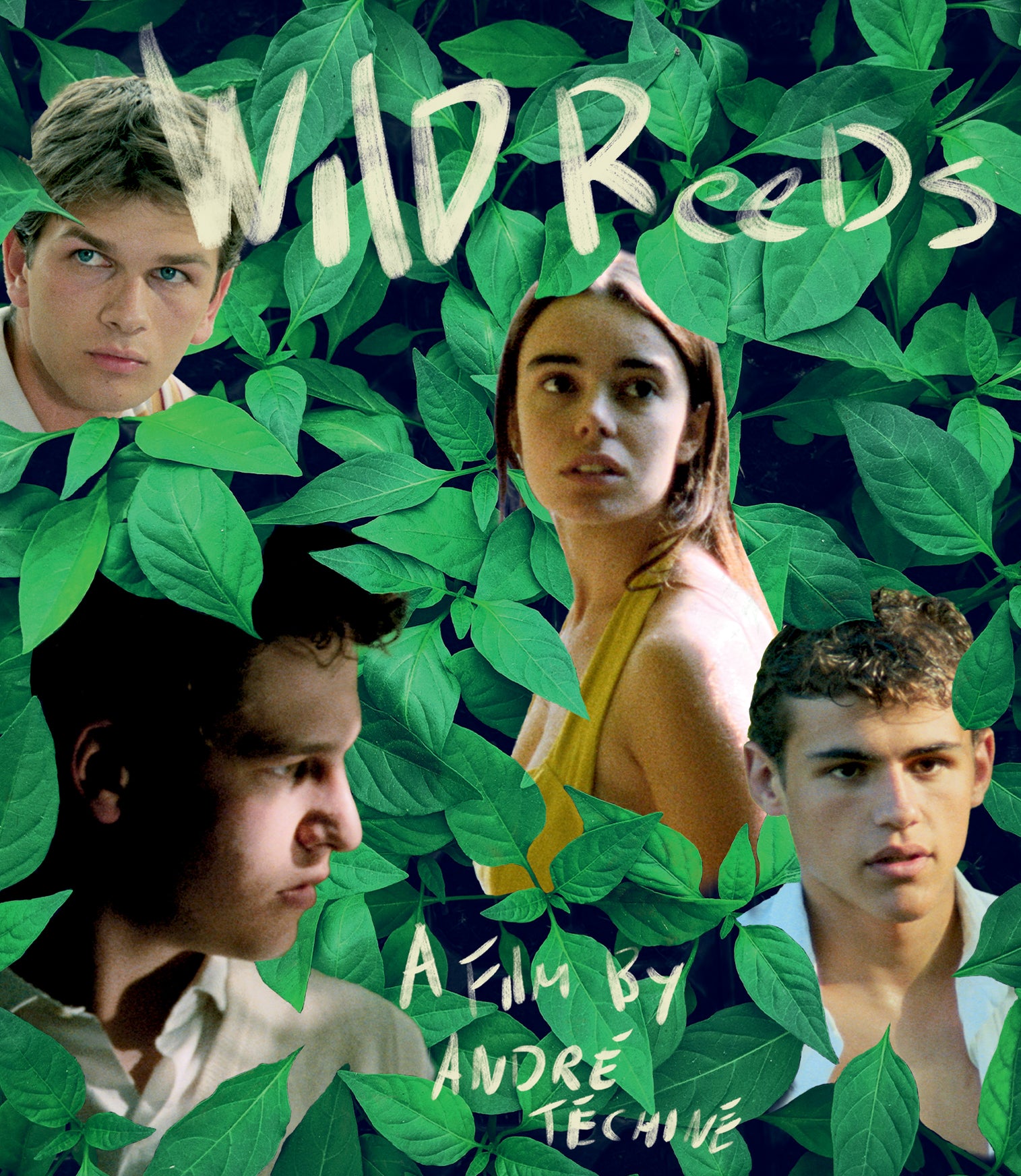WILD REEDS (LIMITED EDITION) BLU-RAY
