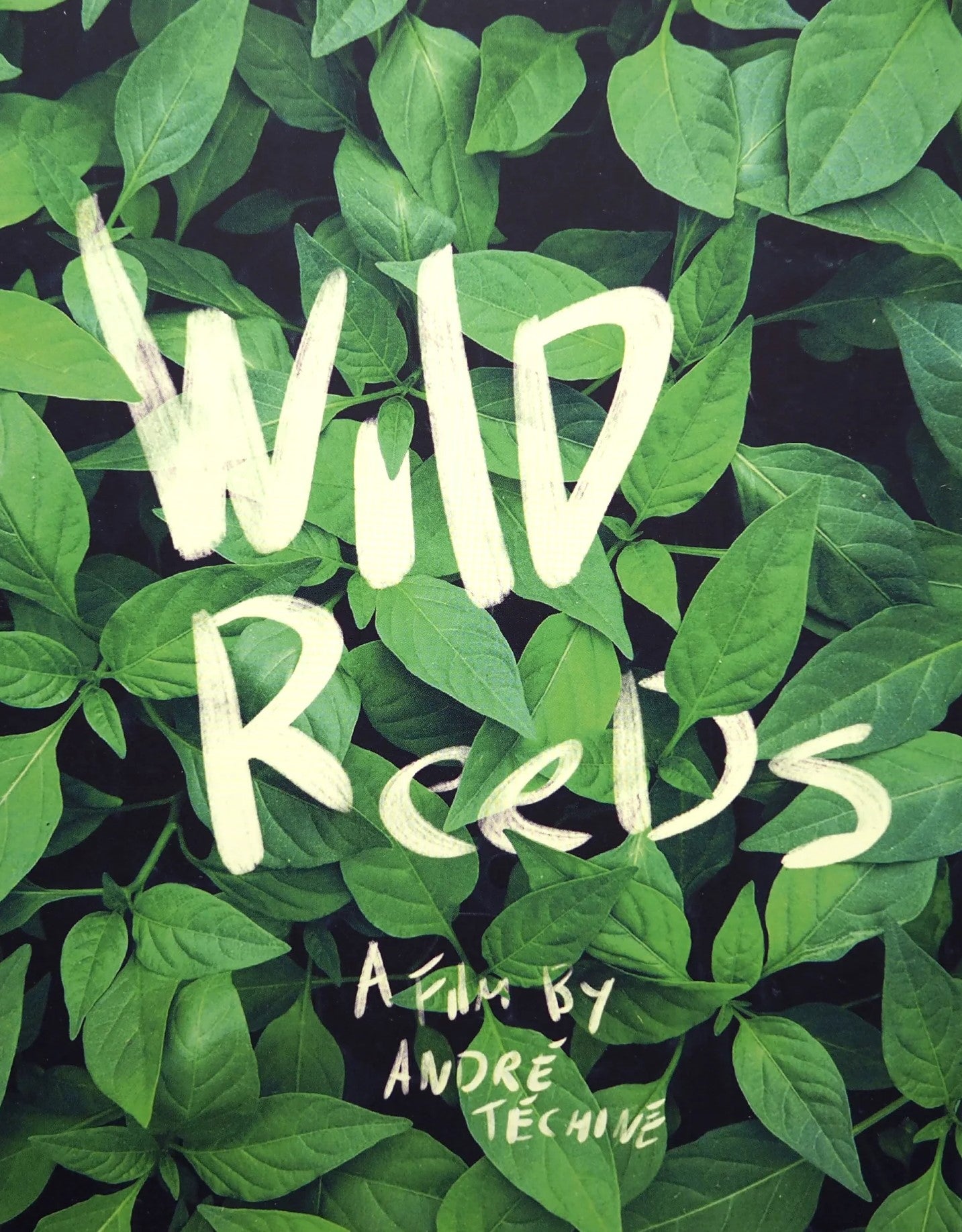 Stephane Rideau Wild Reeds