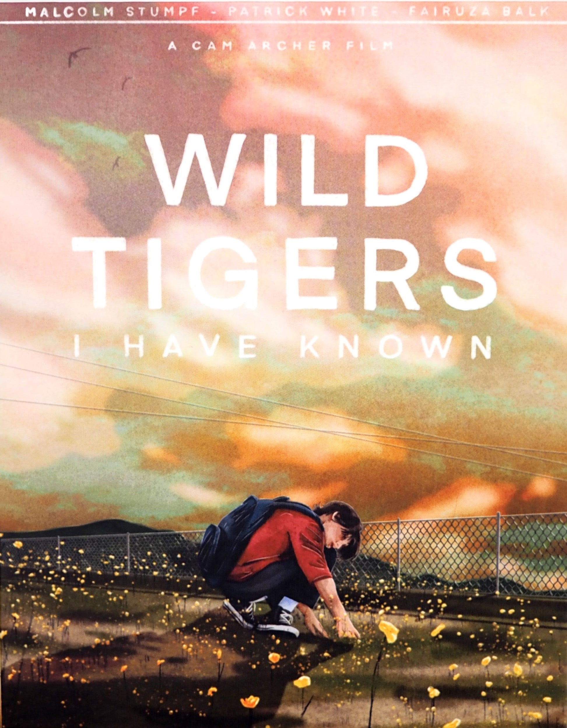 Wild Tigers I Have Known (Limited Edition) Blu-Ray Blu-Ray