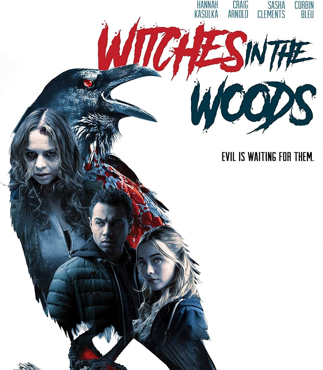Witches In The Woods Blu-Ray Blu-Ray