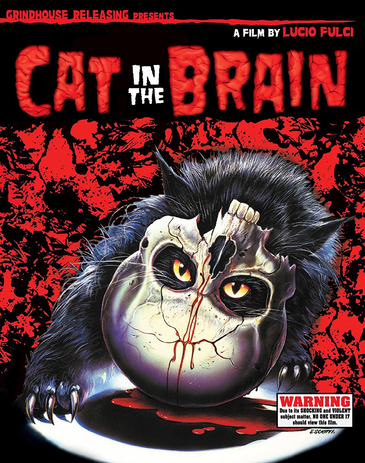 Cat In The Brain Blu-Ray/cd Blu-Ray