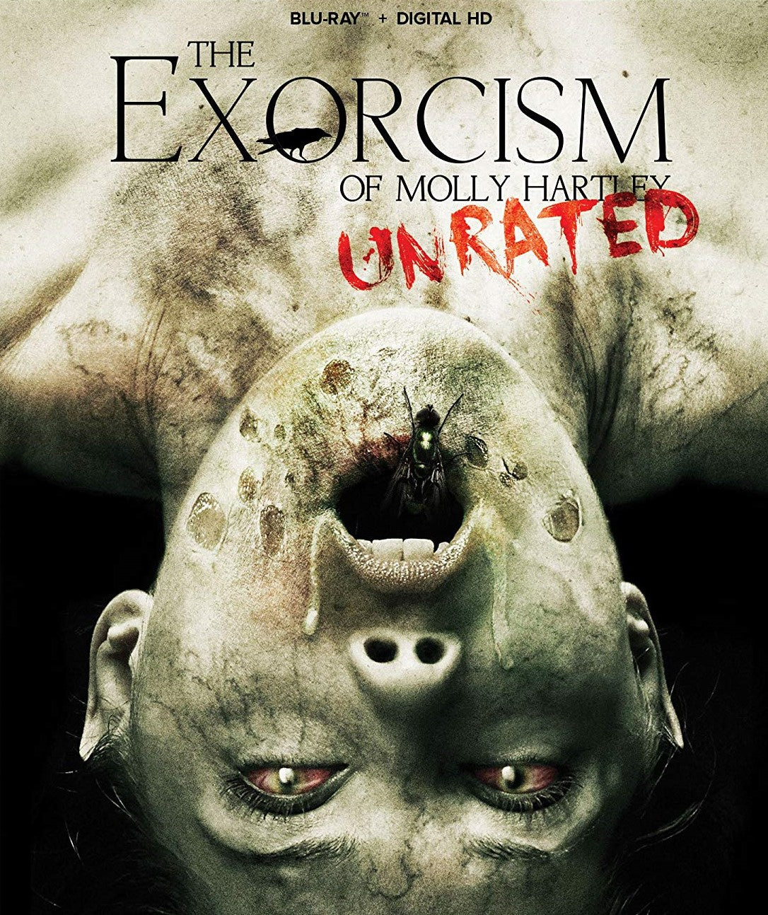 The Exorcism Of Molly Hartley Blu-Ray Blu-Ray