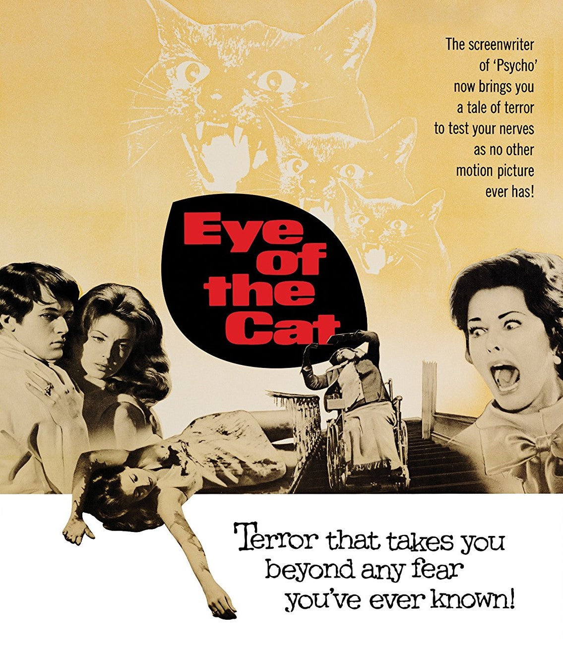 Eye Of The Cat Blu-Ray Blu-Ray