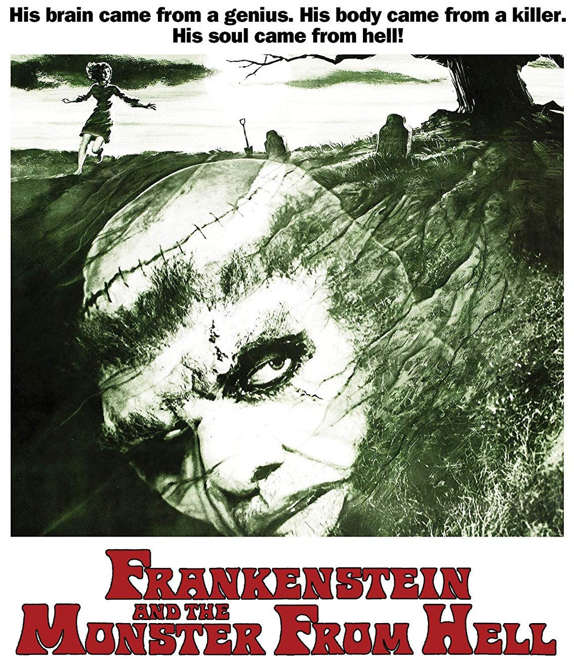 Frankenstein And The Monster From Hell Blu-Ray Blu-Ray