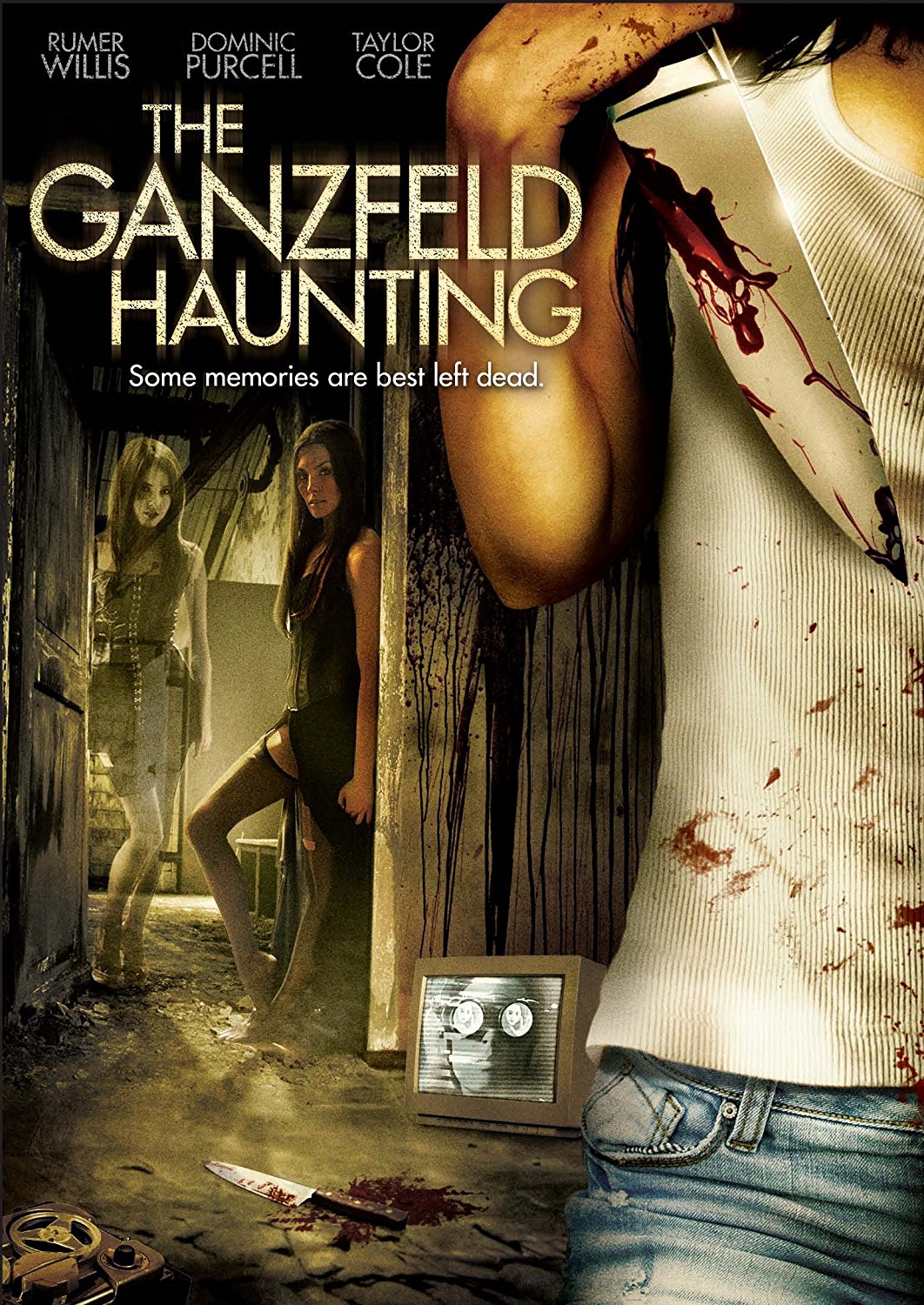 The Ganzfeld Haunting Dvd