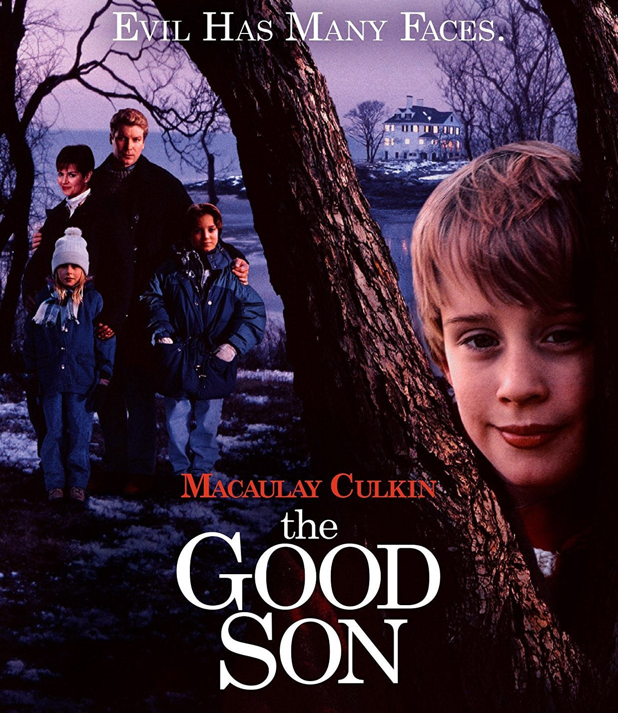 The Good Son Blu-Ray Blu-Ray