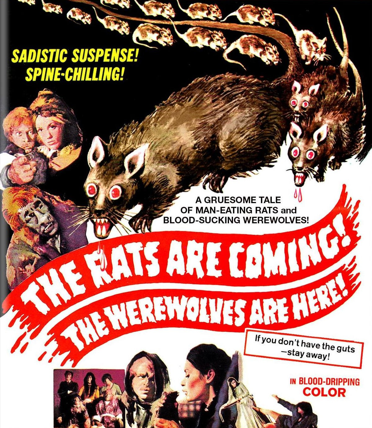 The Rats Are Coming! Werewolves Here! Blu-Ray Blu-Ray
