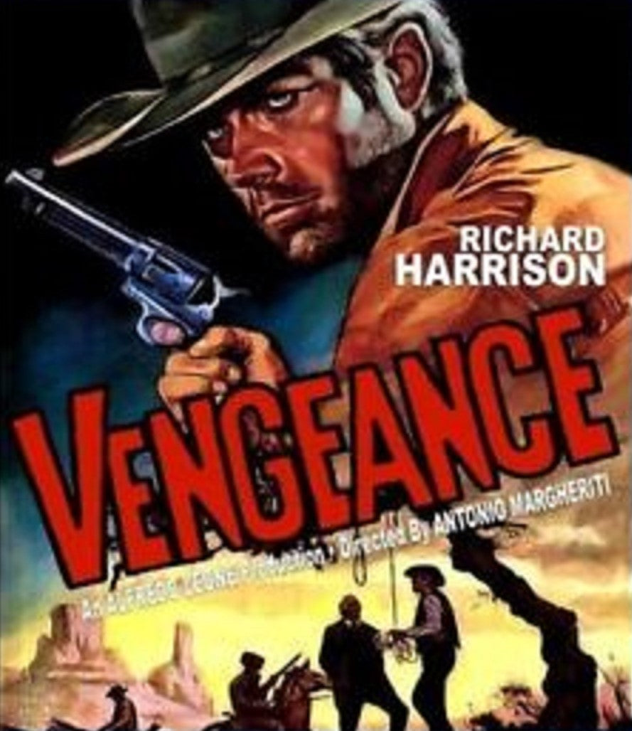 VENGEANCE BLU-RAY